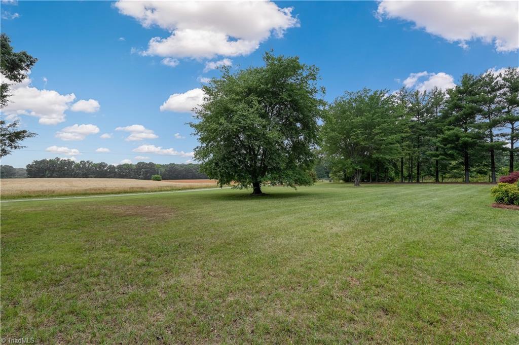 7330 Middlestream Road Browns Summit, NC 27214 - Photo 3 of 37 Gallery Image 3