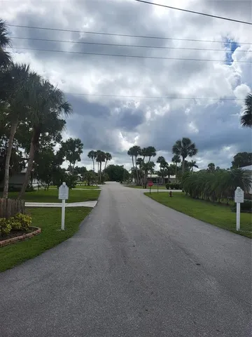 a row of palm trees sitting in a yard with swimming pool