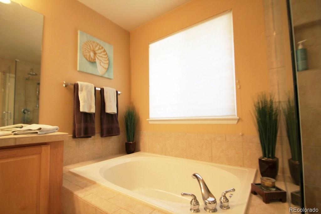 10798 Hickory Ridge Street Highlands Ranch, CO 80126 - Photo 17 of 30 Gallery Image 17