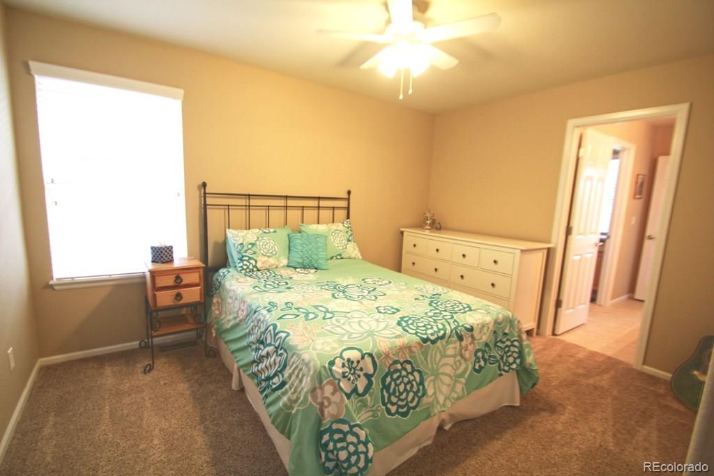 10798 Hickory Ridge Street Highlands Ranch, CO 80126 - Photo 18 of 30 Gallery Image 18