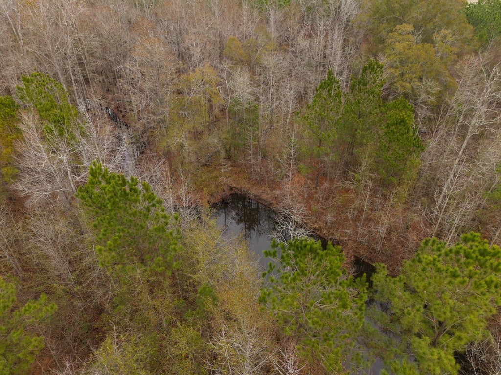 998 Fellowship Road Hahira, GA 31632 - Photo 76 of 79 Gallery Image 76