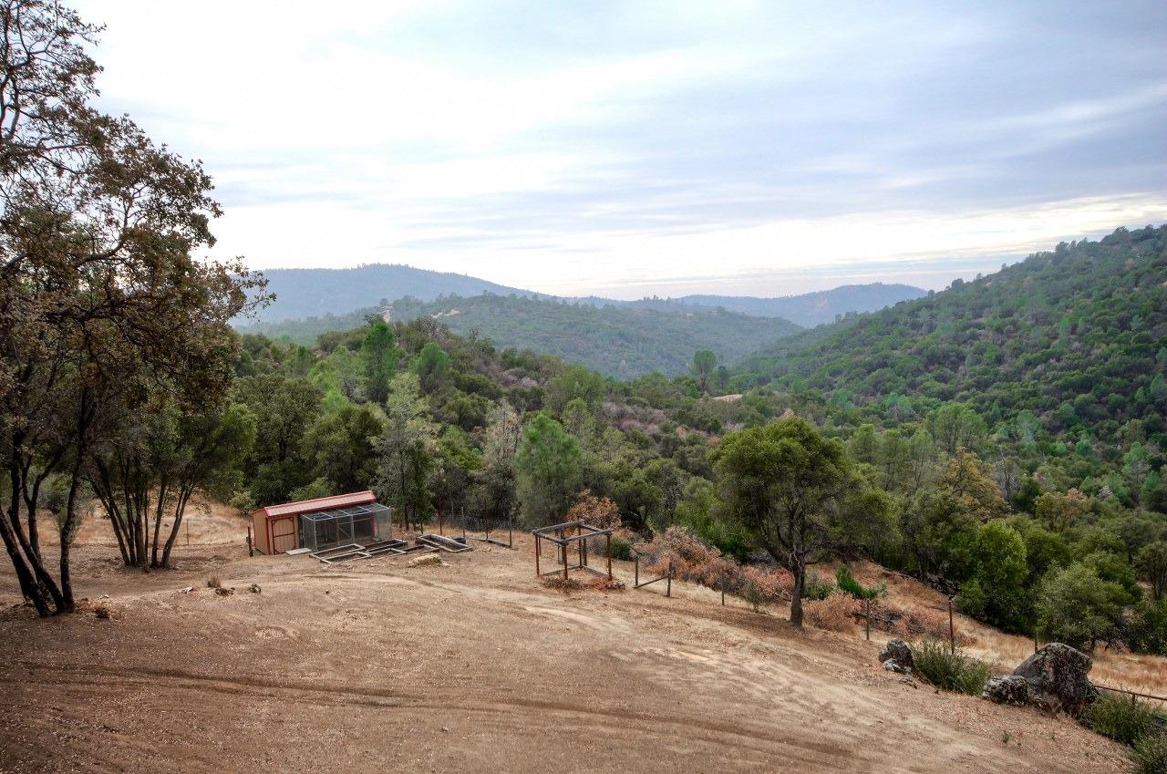 31434 Wyle Ranch Road North Fork, CA 93643 - Photo 66 of 72 Gallery Image 66