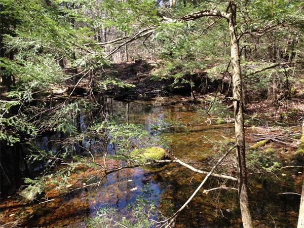 Lot 4 Colebrook River Road Tolland, MA 01034 - Photo 8 of 13 Gallery Image 8