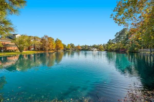 $319,500 | 158 North Magnolia Pond Place, Unit 158E, The Woodlands, TX 77381