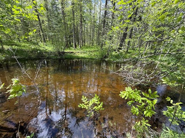 51791 Riverside Lane Sandstone, MN 55072 - Photo 37 of 41