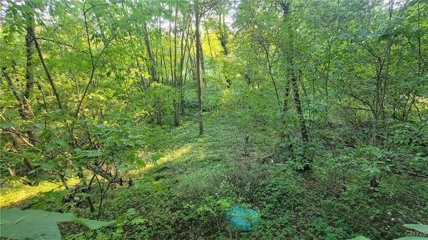 $65,000 | 123 Piper Road, Herkimer, NY 13350