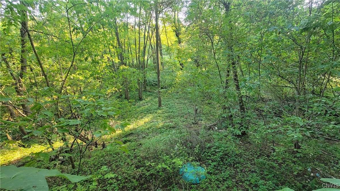 123 Piper Road Herkimer, NY 13350 - Photo 14 of 36