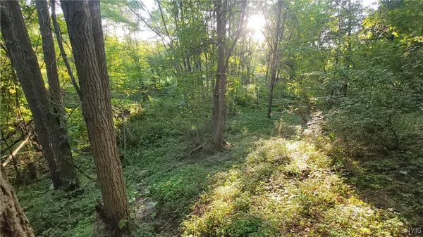 $65,000 | 123 Piper Road, Herkimer, NY 13350