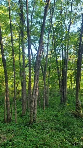 $65,000 | 123 Piper Road, Herkimer, NY 13350