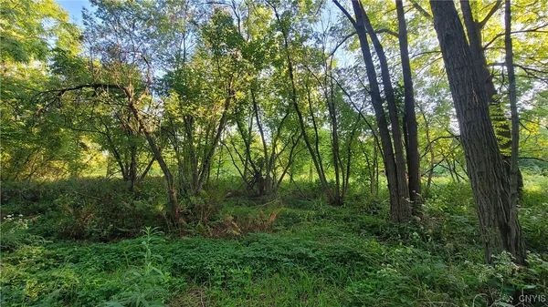 $65,000 | 123 Piper Road, Herkimer, NY 13350