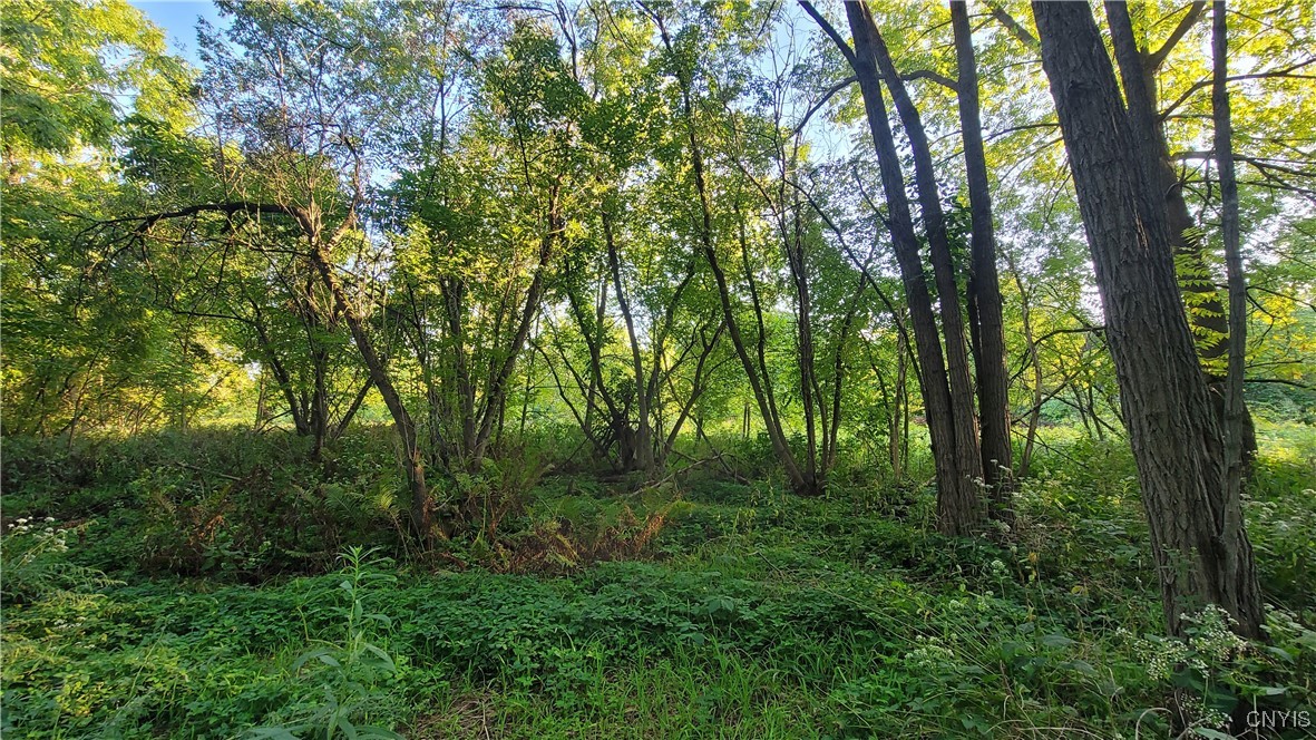 123 Piper Road Herkimer, NY 13350 - Photo 36 of 36