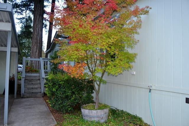 222 Ollis Road, Unit 5A Cave Junction, OR 97523 - Photo 2 of 18 Additional Photo