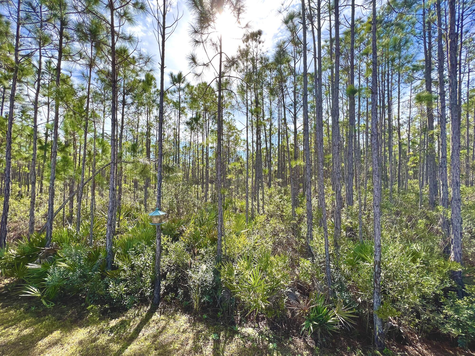 826 Alderberry Road, Unit ROAD Santa Rosa Beach, FL 32459 - Photo 50 of 56 Gallery Image 50