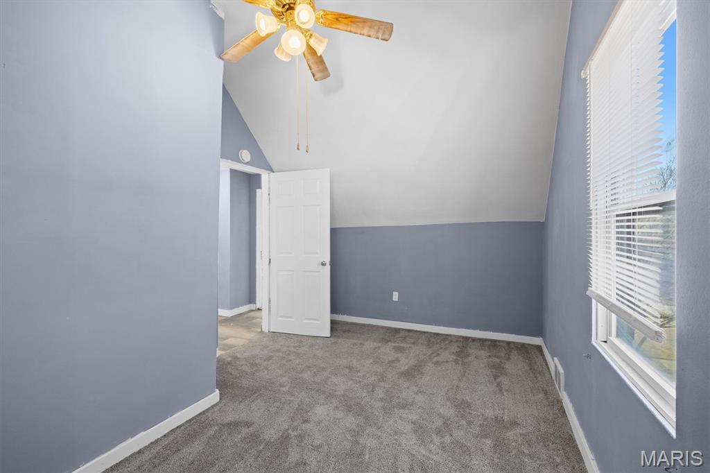 313 Wabash Avenue Belleville, IL 62220 - Photo 18 of 37