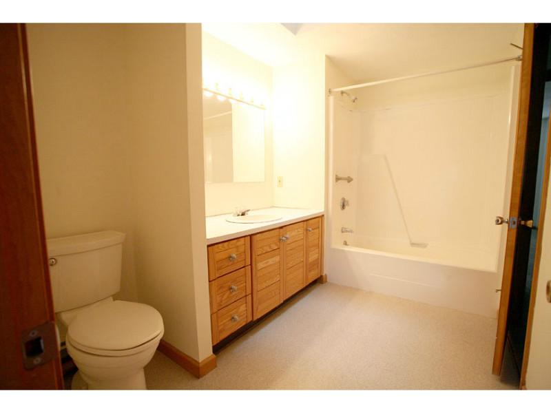 7 Wake Robin Road, Unit 1605 Lincoln, RI 02865 - Photo 15 of 17 Master Bath/Spa.