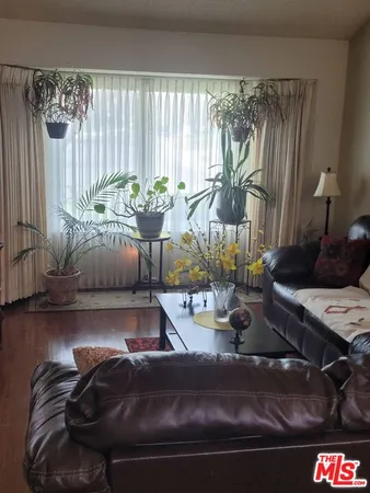 a room with a couch and a potted plant