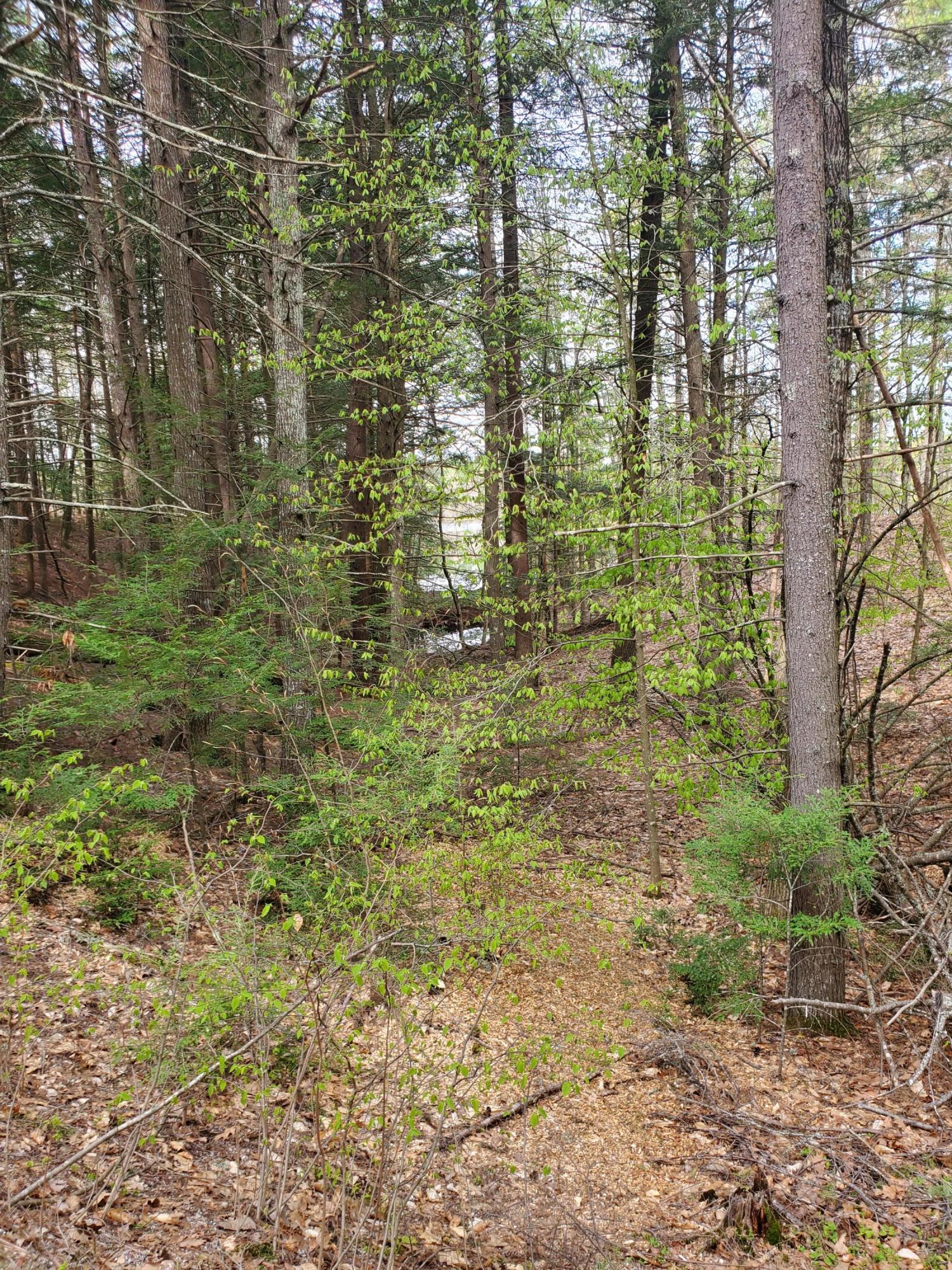Tbd Ridgeway Circle North Waterboro, ME 04061 - Photo 9 of 10 20210508_091018