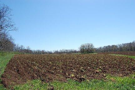 2139 Fishers Mill Road Midway, KY 40347 - Photo 3 of 9 Photo 3