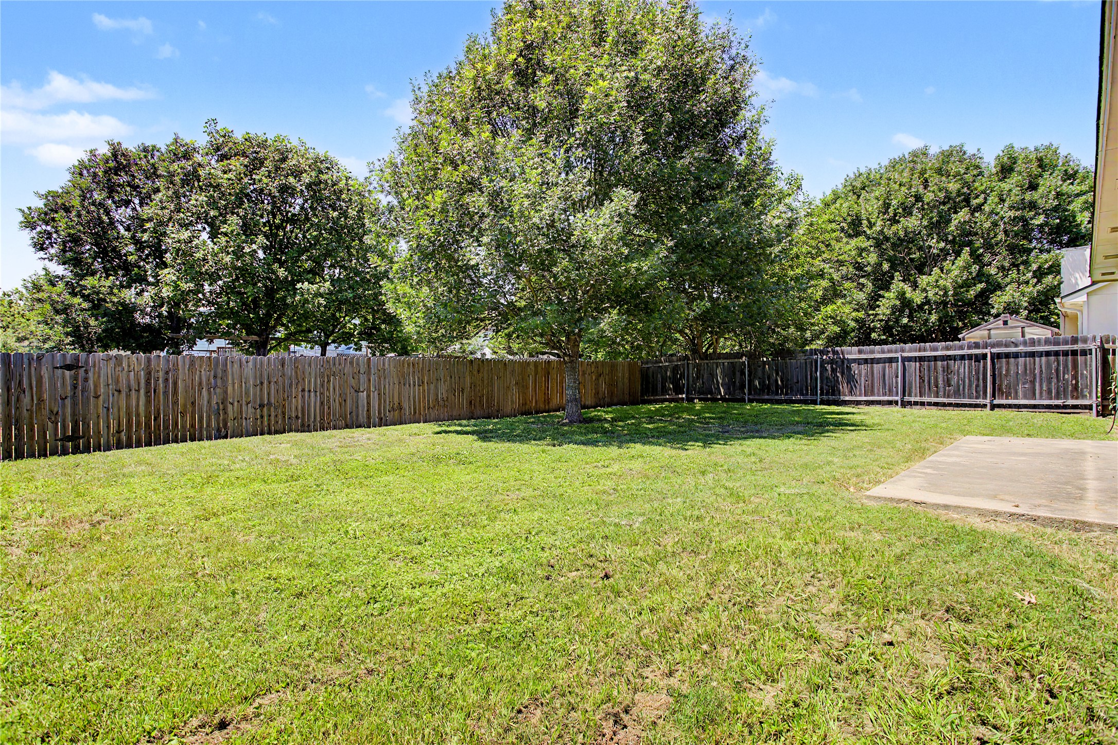 207 Kates Way Hutto, TX 78634 - Photo 20 of 24 Expansive backyard featuring a lush green lawn, mature trees providing natural shade, a full perimeter privacy fence, and a concrete patio pad