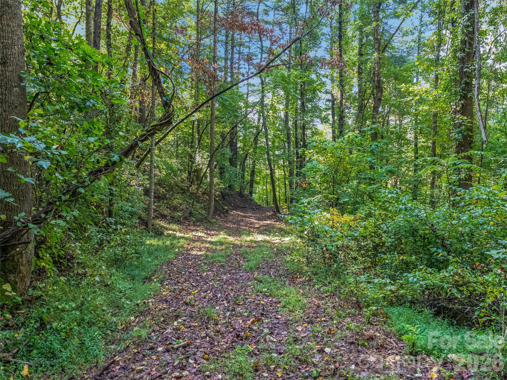 Tbd Robinhood Road, Unit 2 Asheville, NC 28804 - Photo 5 of 38 Gallery Image 5