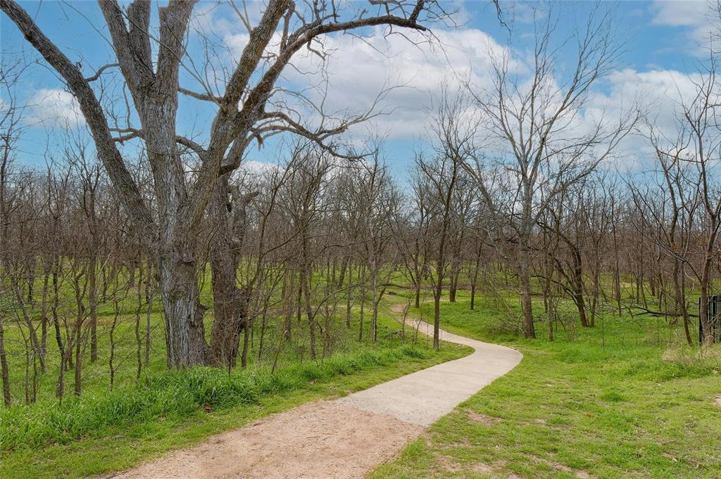 2513 Winchell Lane Austin, TX 78725 - Photo 20 of 23 a view of a park with large trees