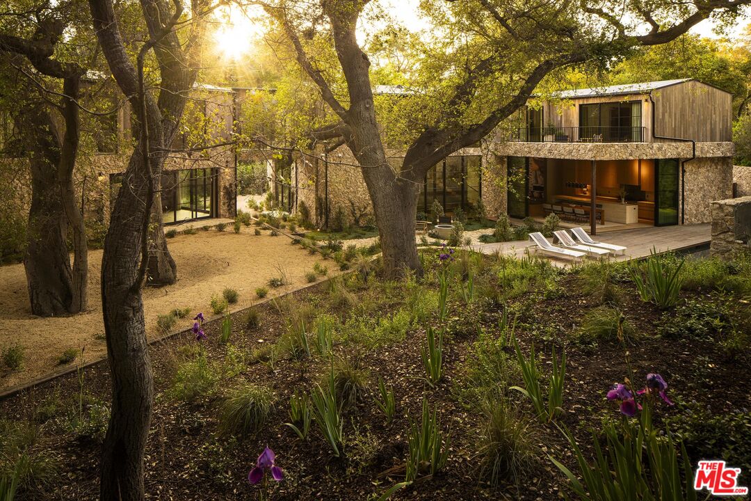 a view of a yard with plants and trees