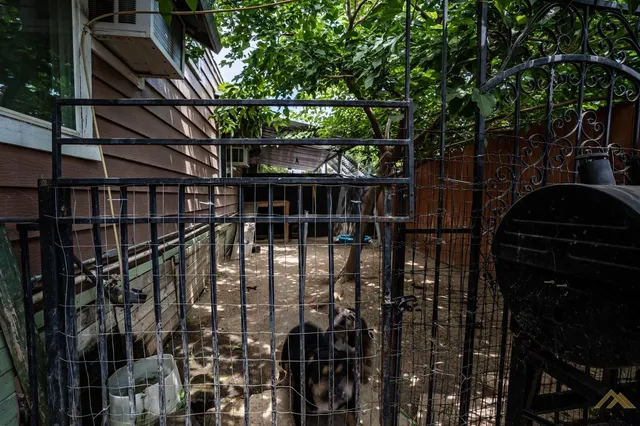 a view of entryway with a tree