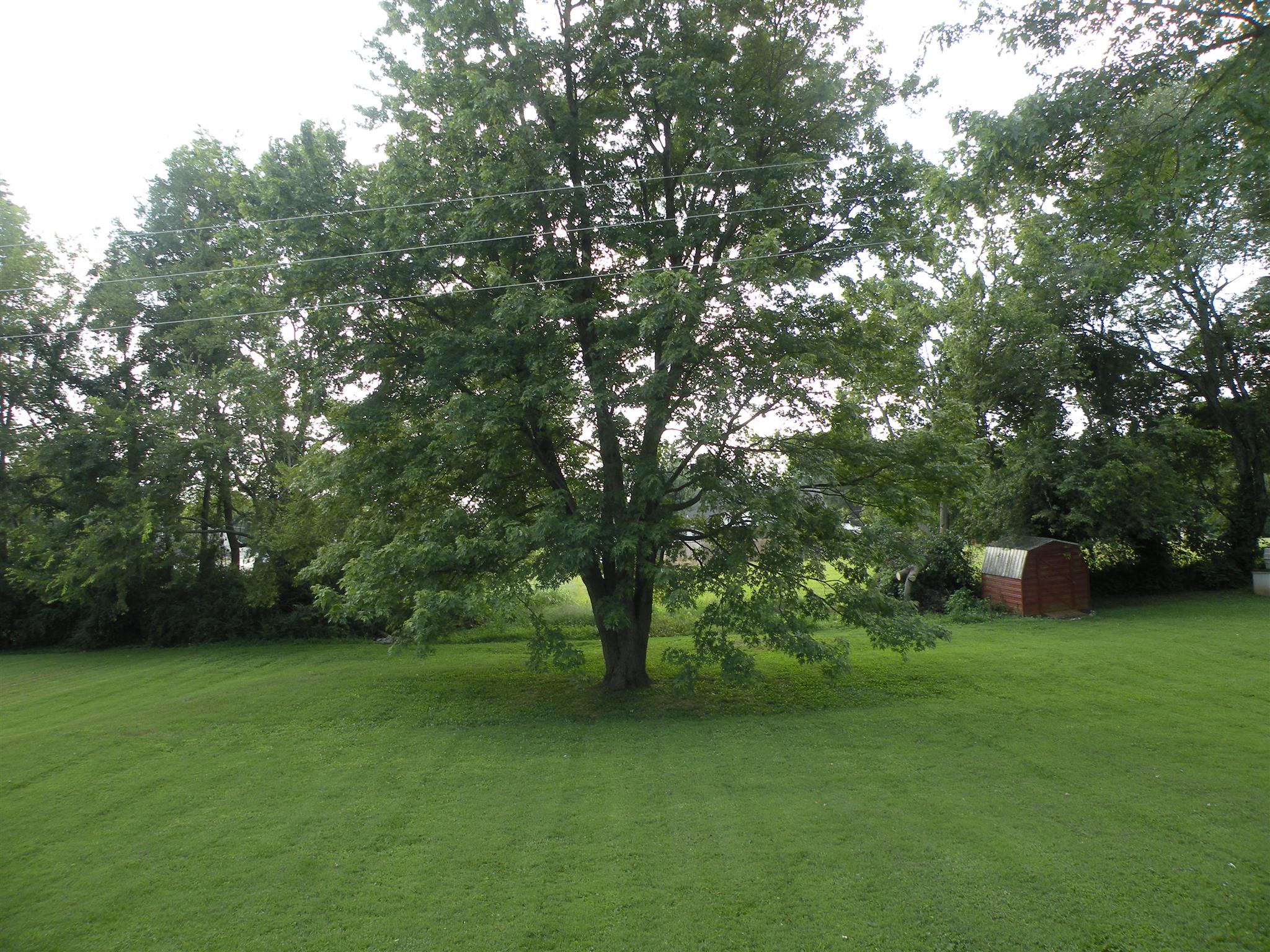 301 Fowler Ford Road Portland, TN 37148 - Photo 20 of 22 a view of a trees with a yard