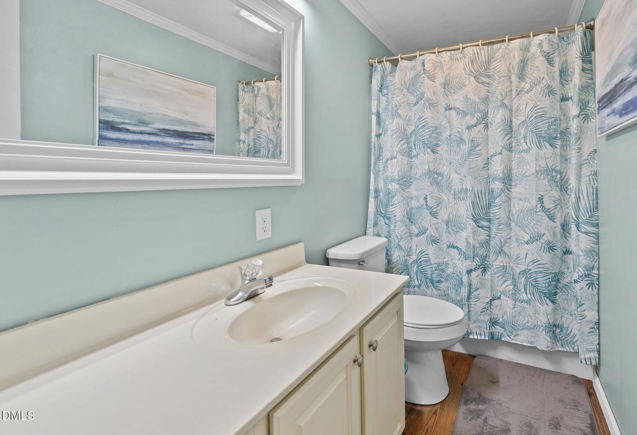 2465 Shoeheel Road Selma, NC 27576 - Photo 17 of 36 a bathroom with a sink and a toilet