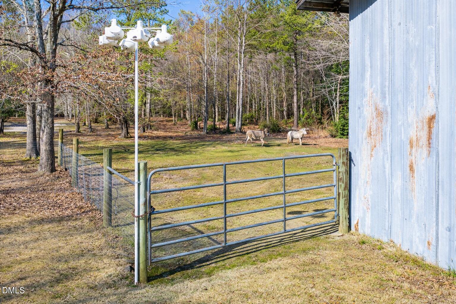2465 Shoeheel Road Selma, NC 27576 - Photo 22 of 36 a view of a house with a backyard and trees