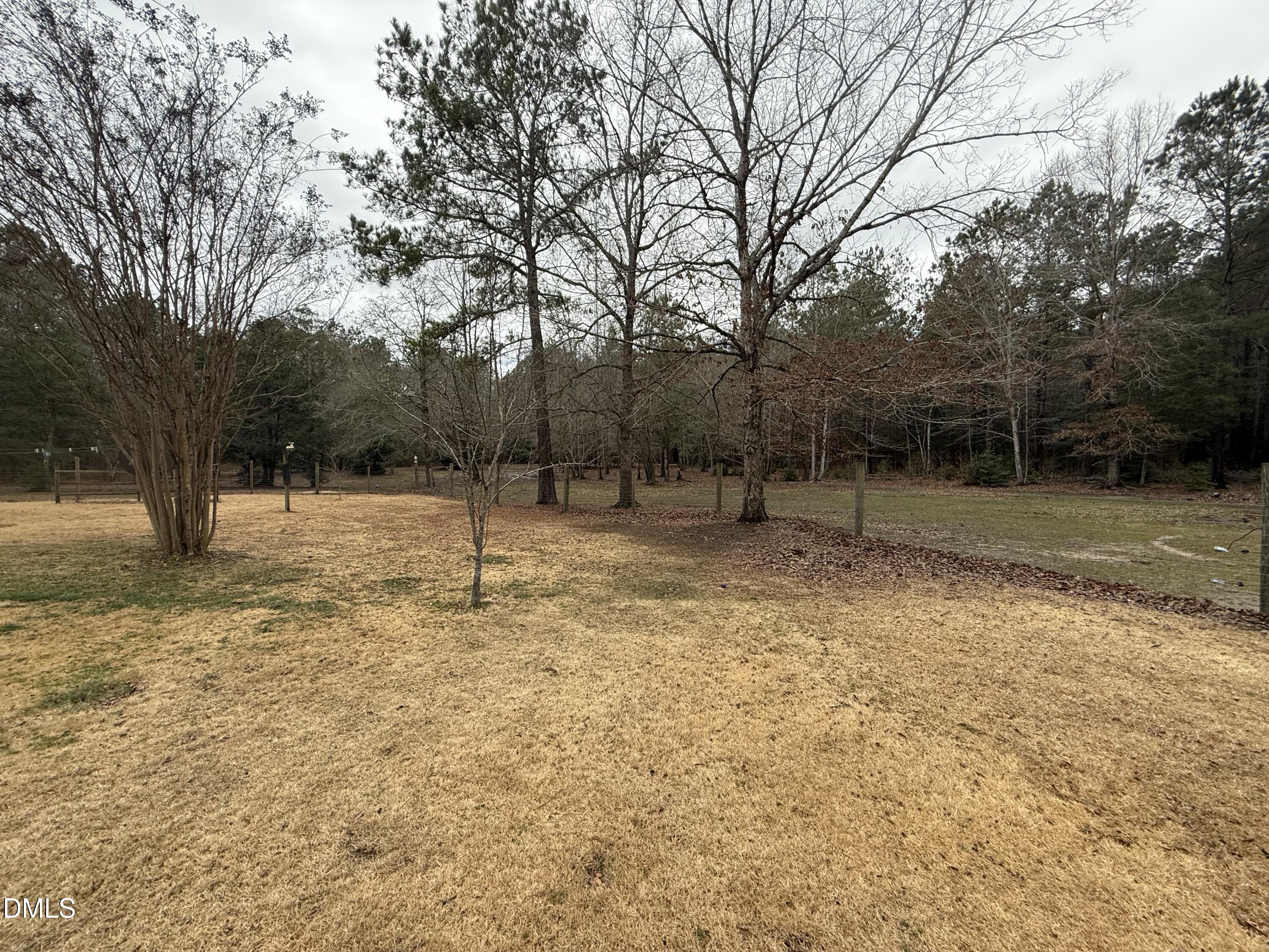 2465 Shoeheel Road Selma, NC 27576 - Photo 23 of 36 a backyard of a house with lots of tall trees