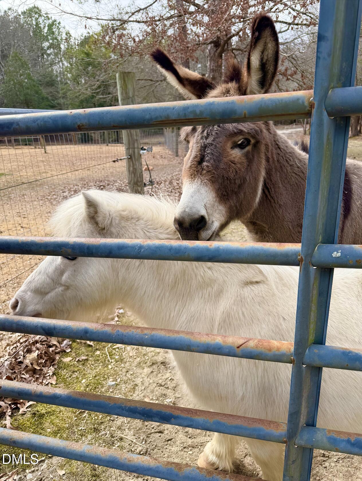 2465 Shoeheel Road Selma, NC 27576 - Photo 28 of 36