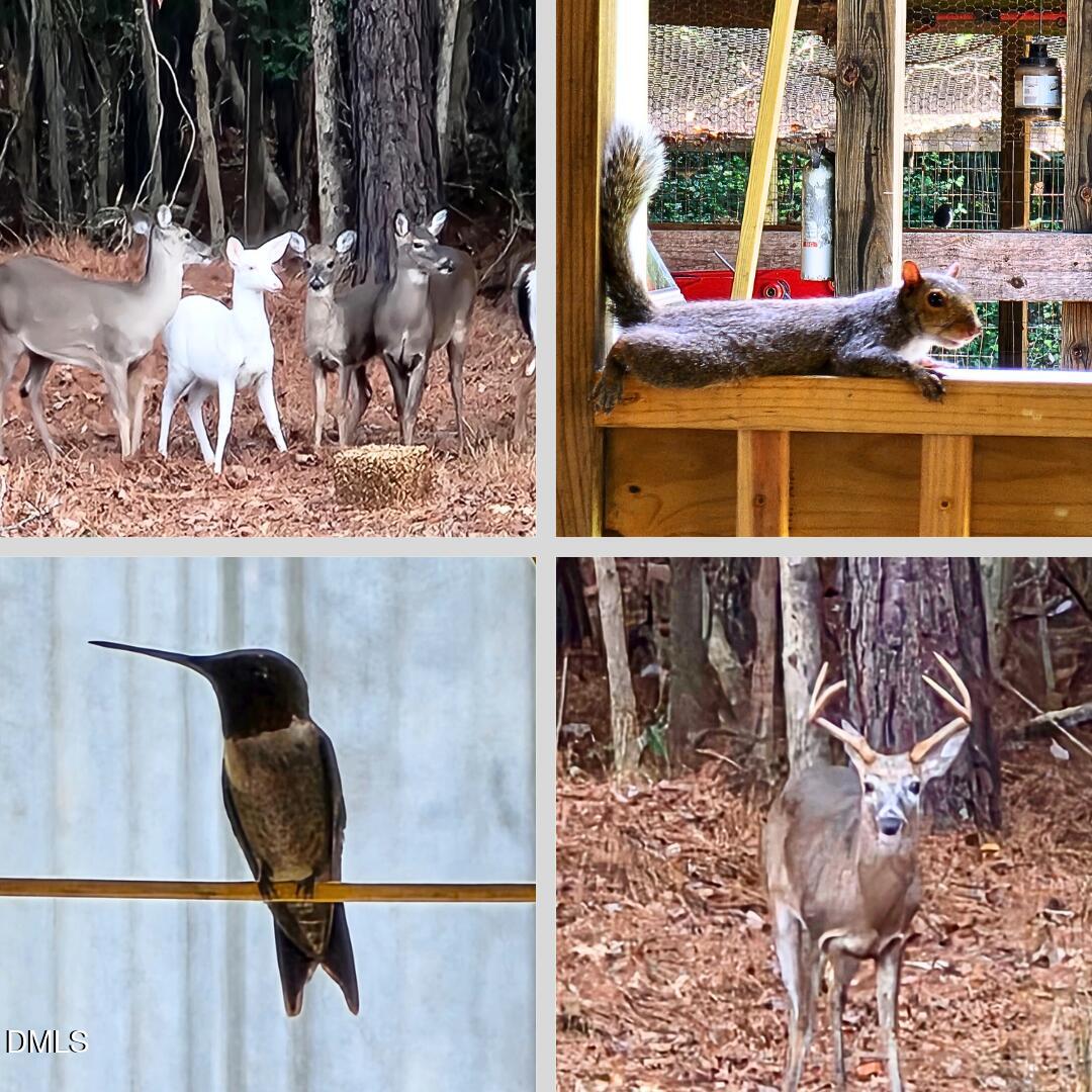 2465 Shoeheel Road Selma, NC 27576 - Photo 34 of 36 a view of a living room and bathroom