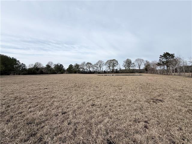 4411 Heritage Road Ville Platte, LA 70586 - Photo 54 of 55 Gallery Image 54