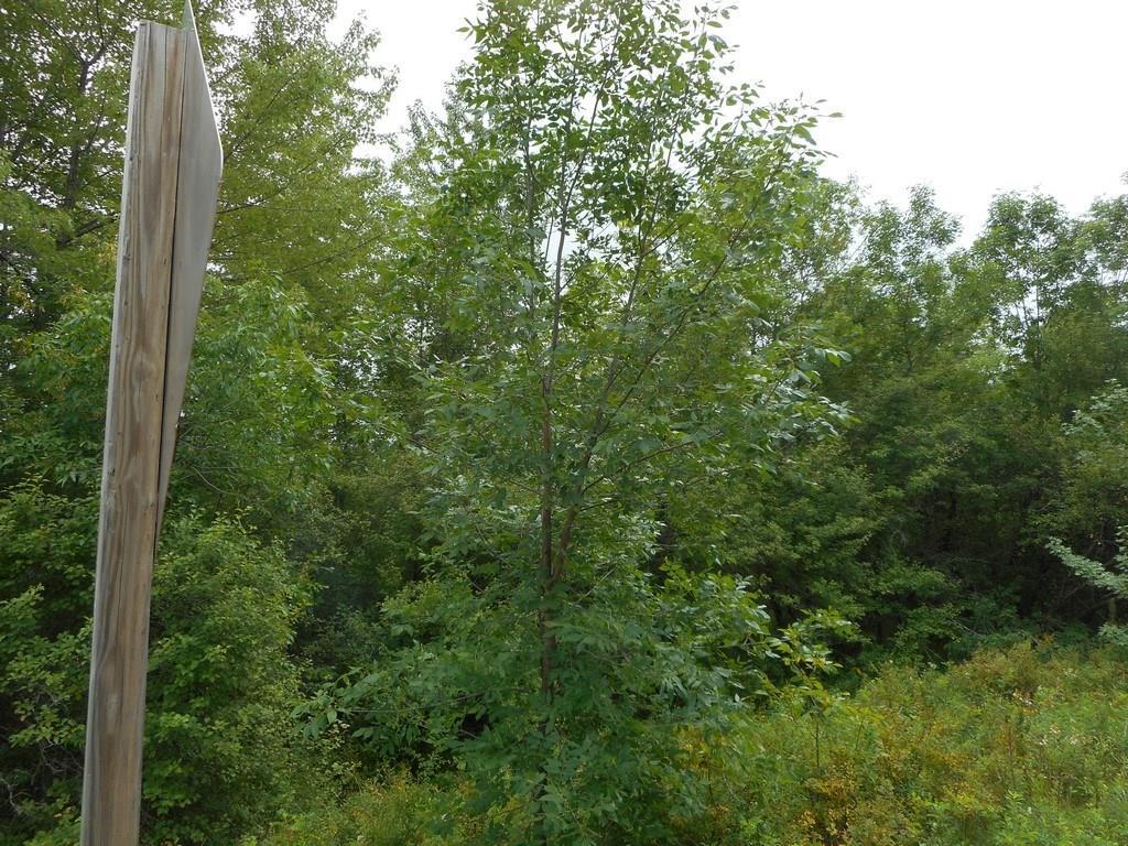 2 French Settlement Road Milford, ME 04461 - Photo 8 of 16 Photo