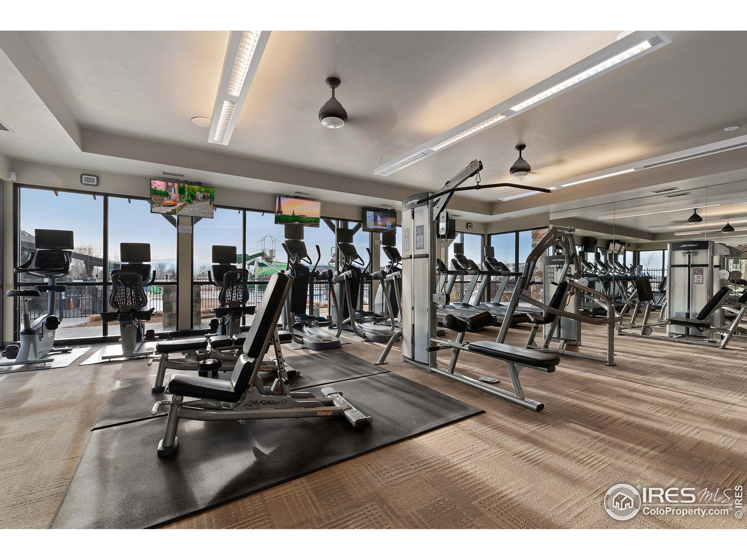 6747 Grainery Road Timnath, CO 80547 - Photo 33 of 42