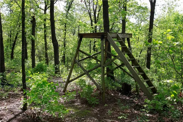 $129,500 | Tbd Southeast 1121st Road, Deepwater, MO 64740