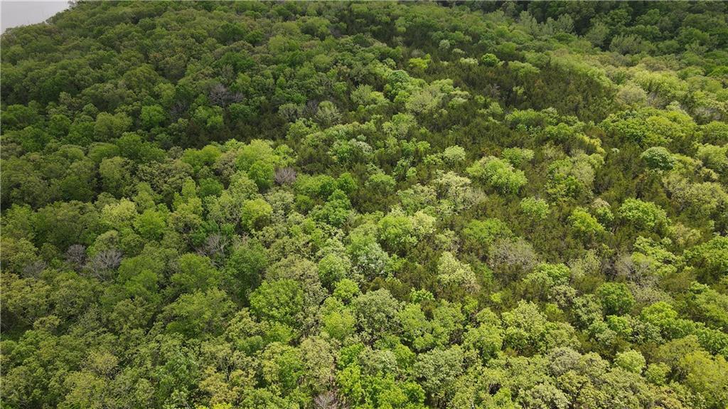 Tbd Southeast 1121st Road Deepwater, MO 64740 - Photo 13 of 26