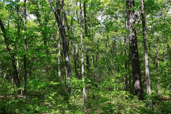 $129,500 | Tbd Southeast 1121st Road, Deepwater, MO 64740