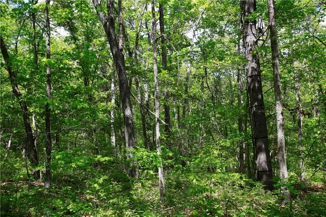 $129,500 | Tbd Southeast 1121st Road, Deepwater, MO 64740