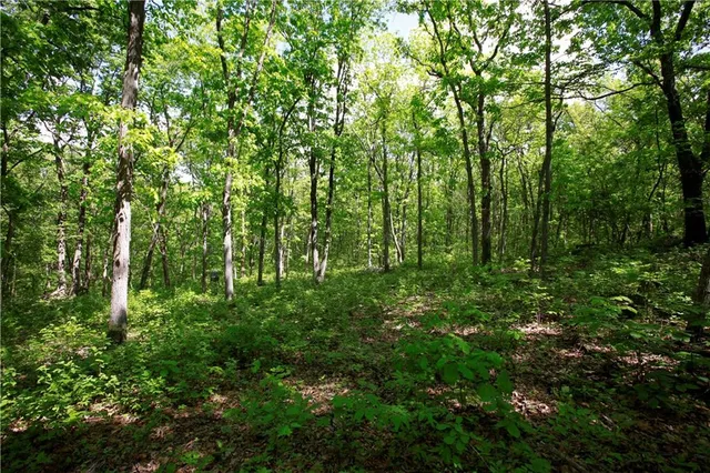 $129,500 | Tbd Southeast 1121st Road, Deepwater, MO 64740
