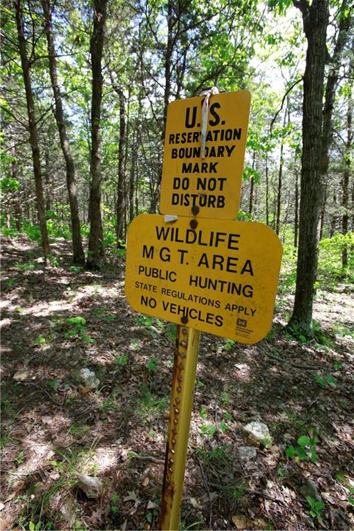 Tbd Southeast 1121st Road Deepwater, MO 64740 - Photo 16 of 26