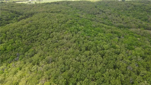 $129,500 | Tbd Southeast 1121st Road, Deepwater, MO 64740