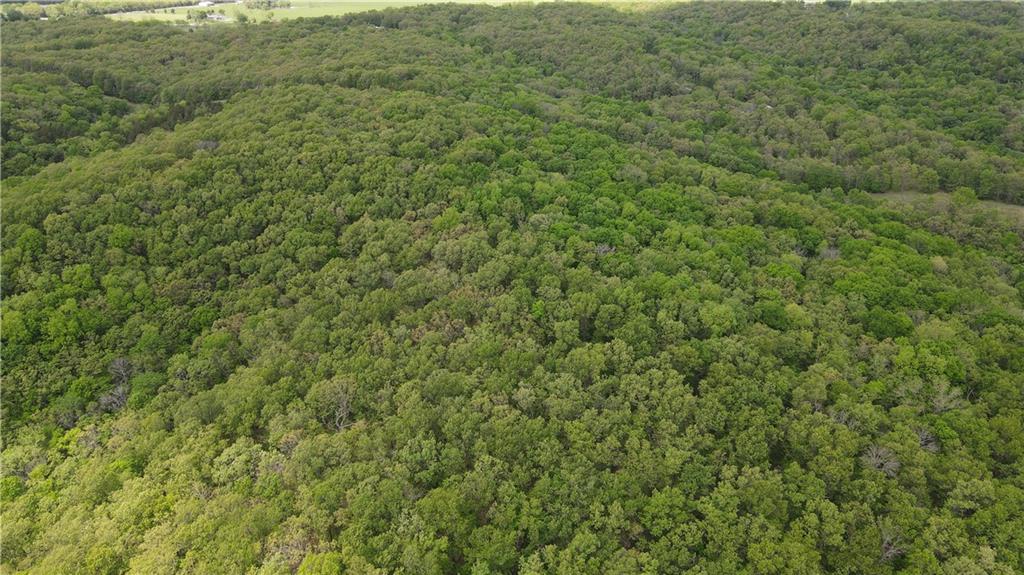 Tbd Southeast 1121st Road Deepwater, MO 64740 - Photo 3 of 26