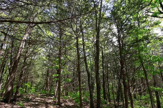 $129,500 | Tbd Southeast 1121st Road, Deepwater, MO 64740