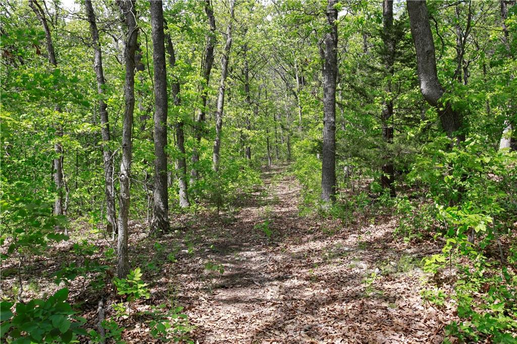 Tbd Southeast 1121st Road Deepwater, MO 64740 - Photo 9 of 26