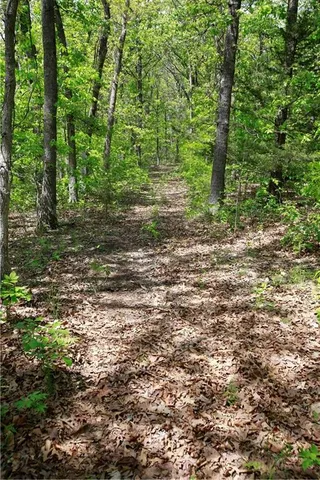 $129,500 | Tbd Southeast 1121st Road, Deepwater, MO 64740