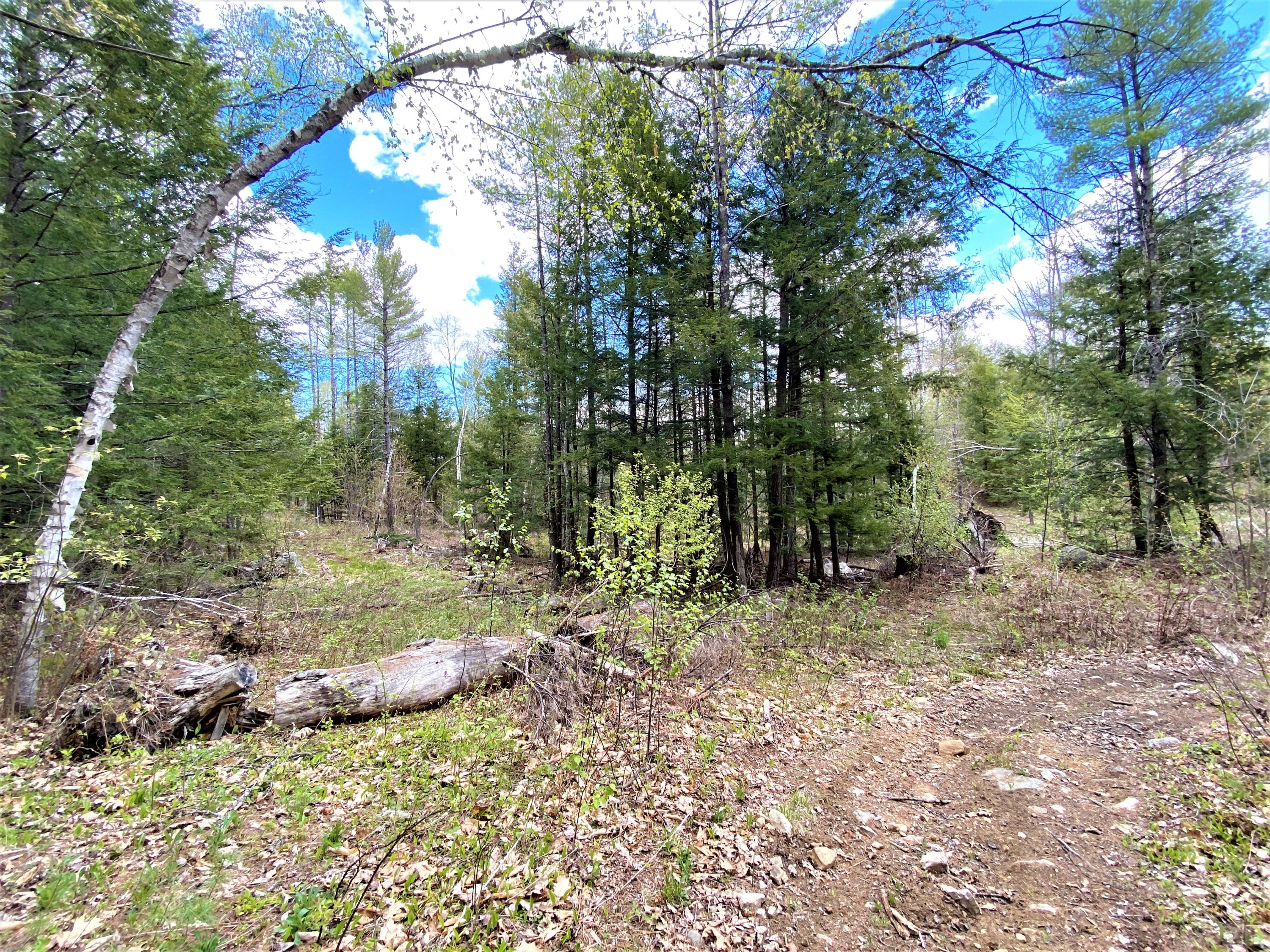0 Libby Road, Unit LOT #1 West Newfield, ME 04095 - Photo 14 of 14 IMG_13667