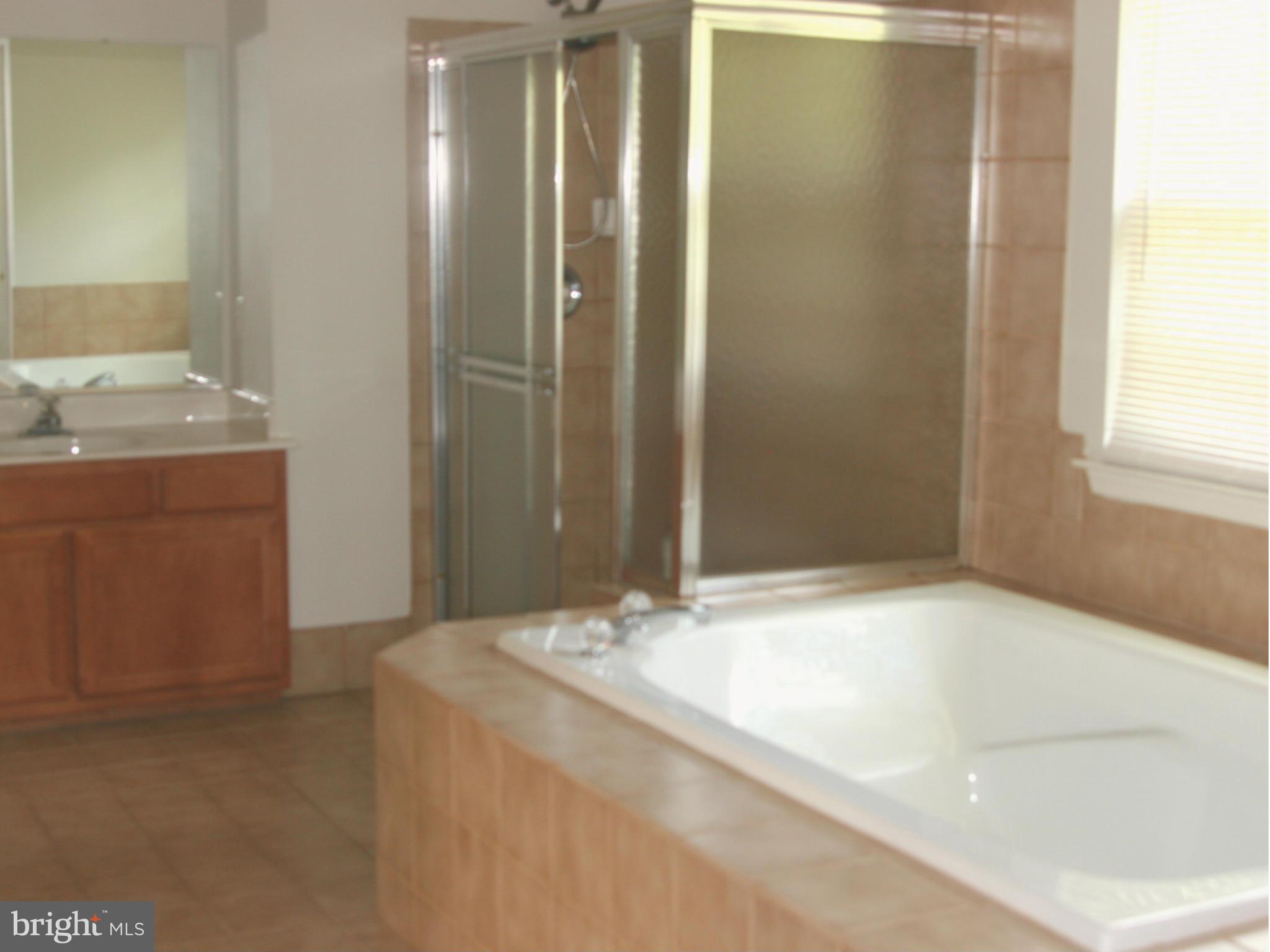 11202 Old York Road Bowie, MD 20721 - Photo 7 of 7 Bath (Master)