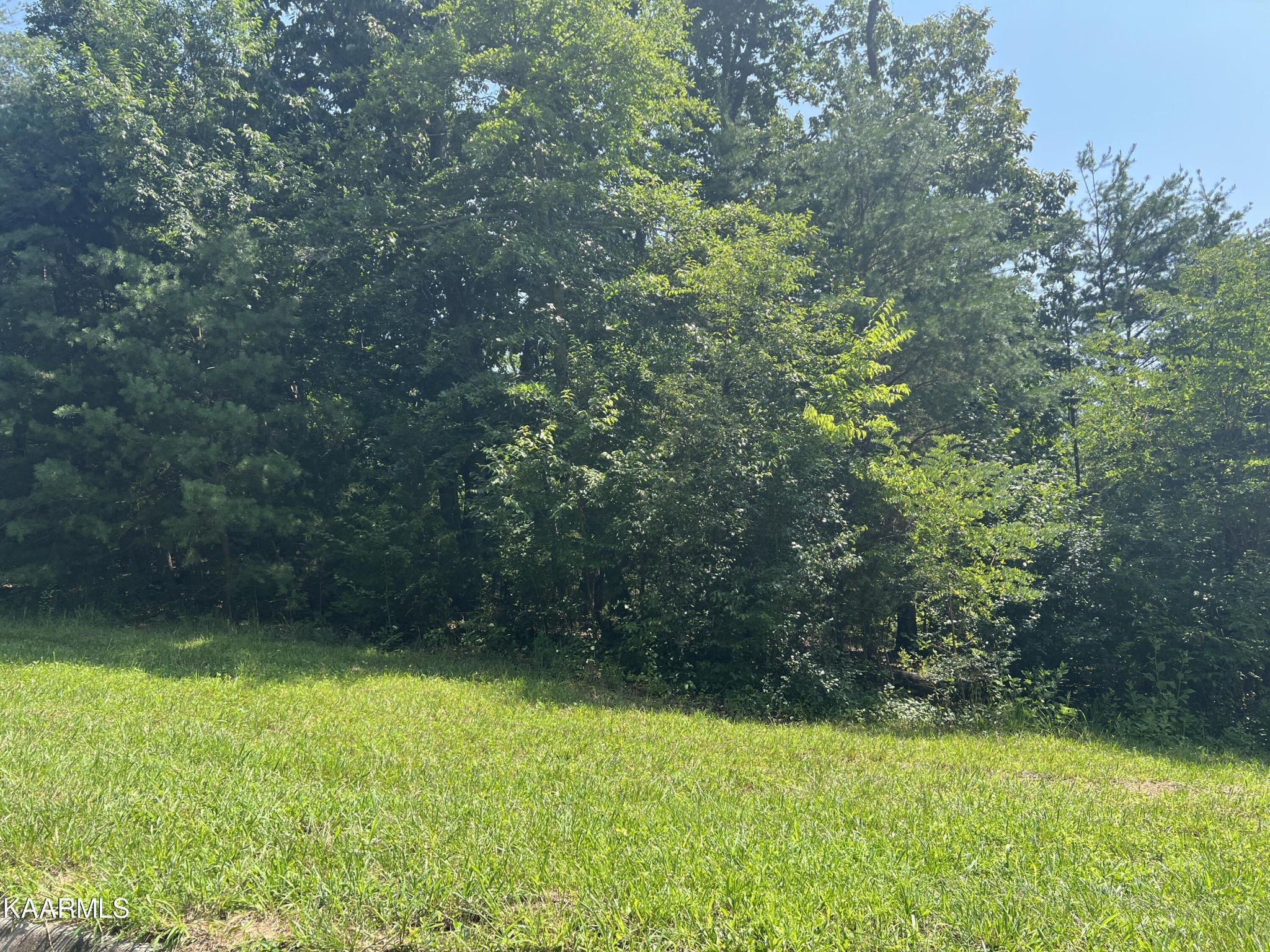 0 High Ridge Road Sweetwater, TN 37874 - Photo 1 of 4 Gallery Image 1
